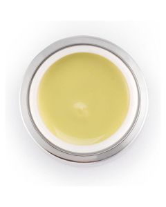 Cosmetics Zone Professional Paint Gel Crispy Pear 167*