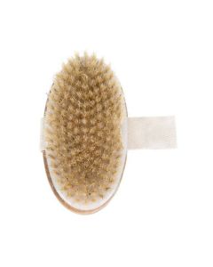 Beautylushh Wet / Dry Body Massage Brush