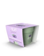 FLUFF Facial Cleansing Mousse - Wild Blueberries 50ml.