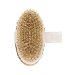Beautylushh Wet / Dry Body Massage Brush
