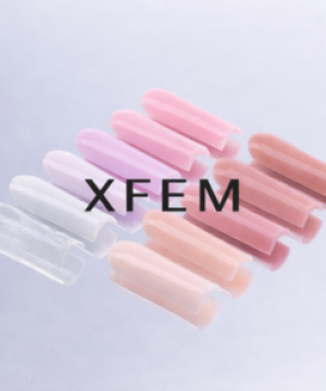 XFEM