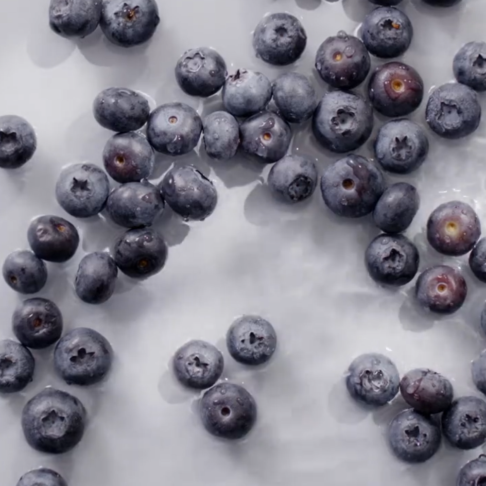 FRUDIA-1_1_