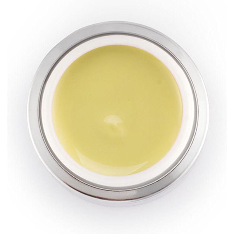 Cosmetics Zone Professional Paint Gel Crispy Pear 167
